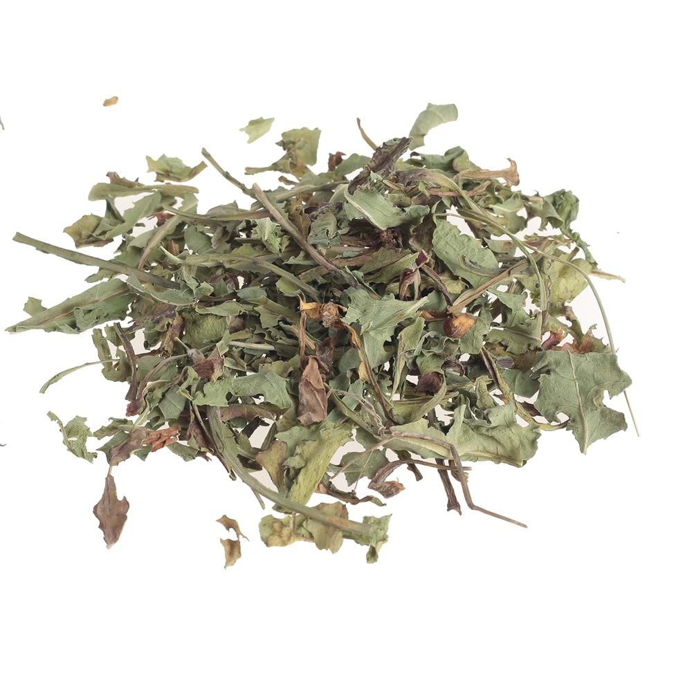 KARA HİNDİBA OTU (ACI GÜNEK ) 50 GR