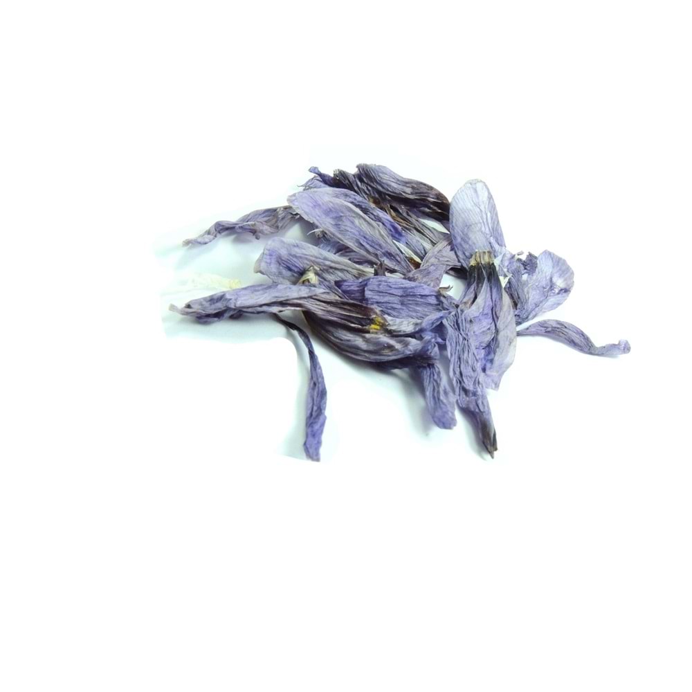 SAFRAN ÇİÇEĞİ TAÇ YAPRAĞI MOR 10 GR