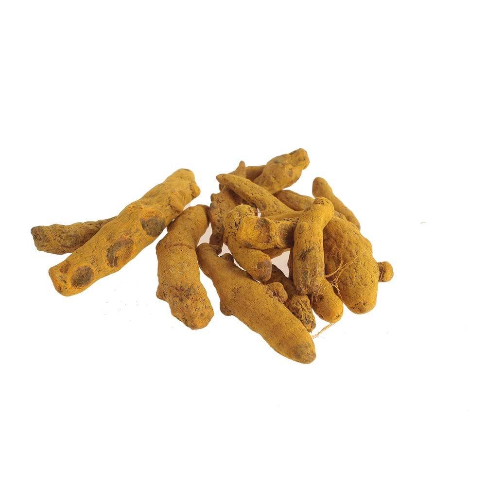 KÖK ZERDEÇAL (KURU) 50 GR