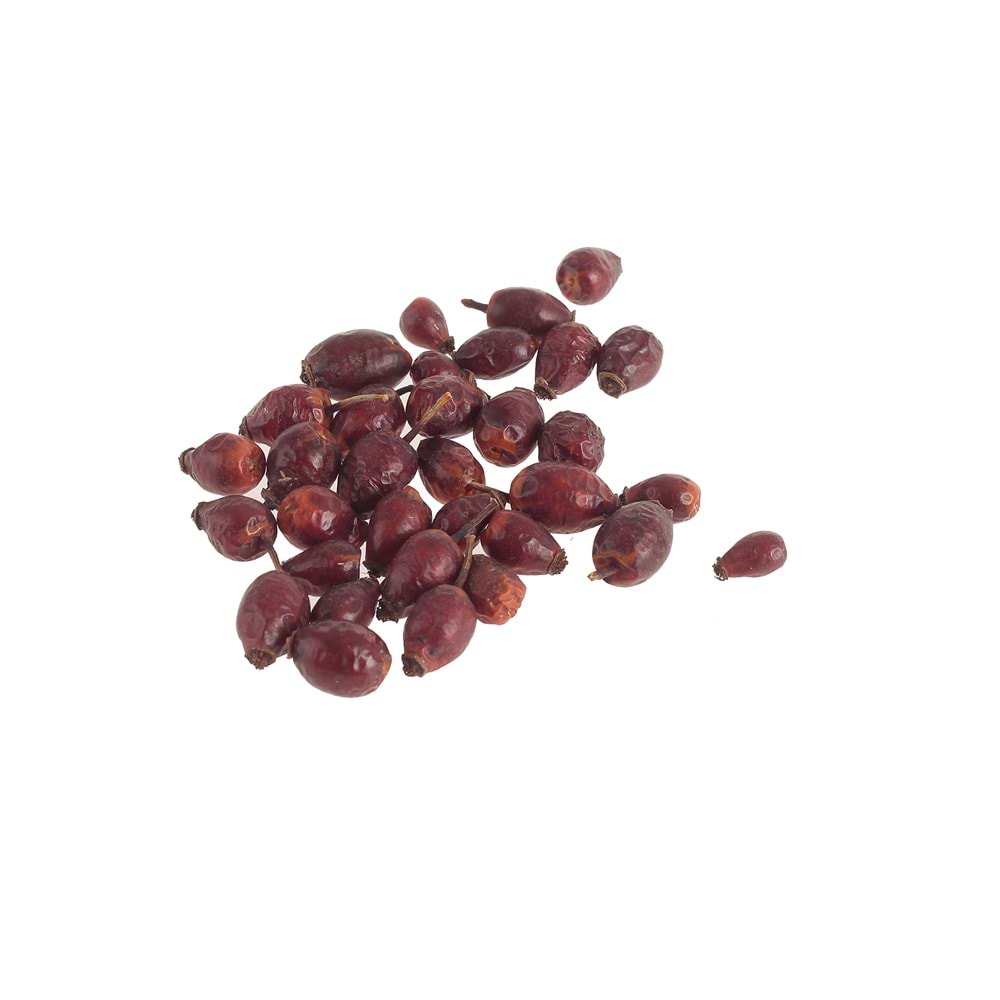 KUŞBURNU 100 GR