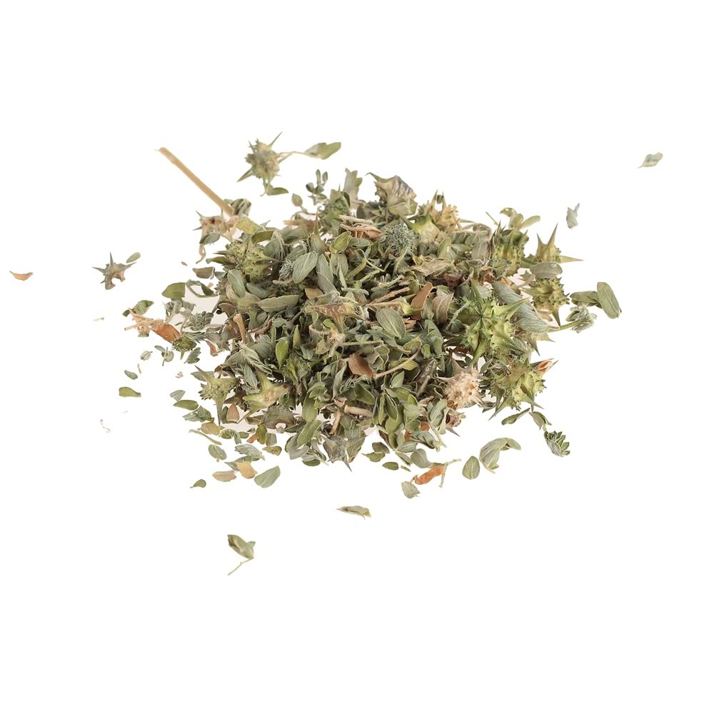ÇOBAN ÇÖKERTEN (DEMİR DİKEN)100 GR
