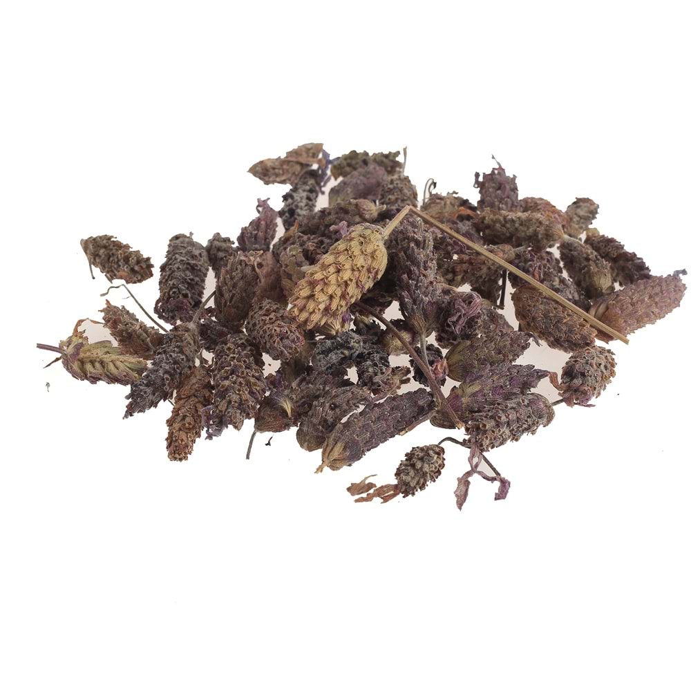 KARABAŞ OTU (FRANSIZ LAVANTASI) 50 GR