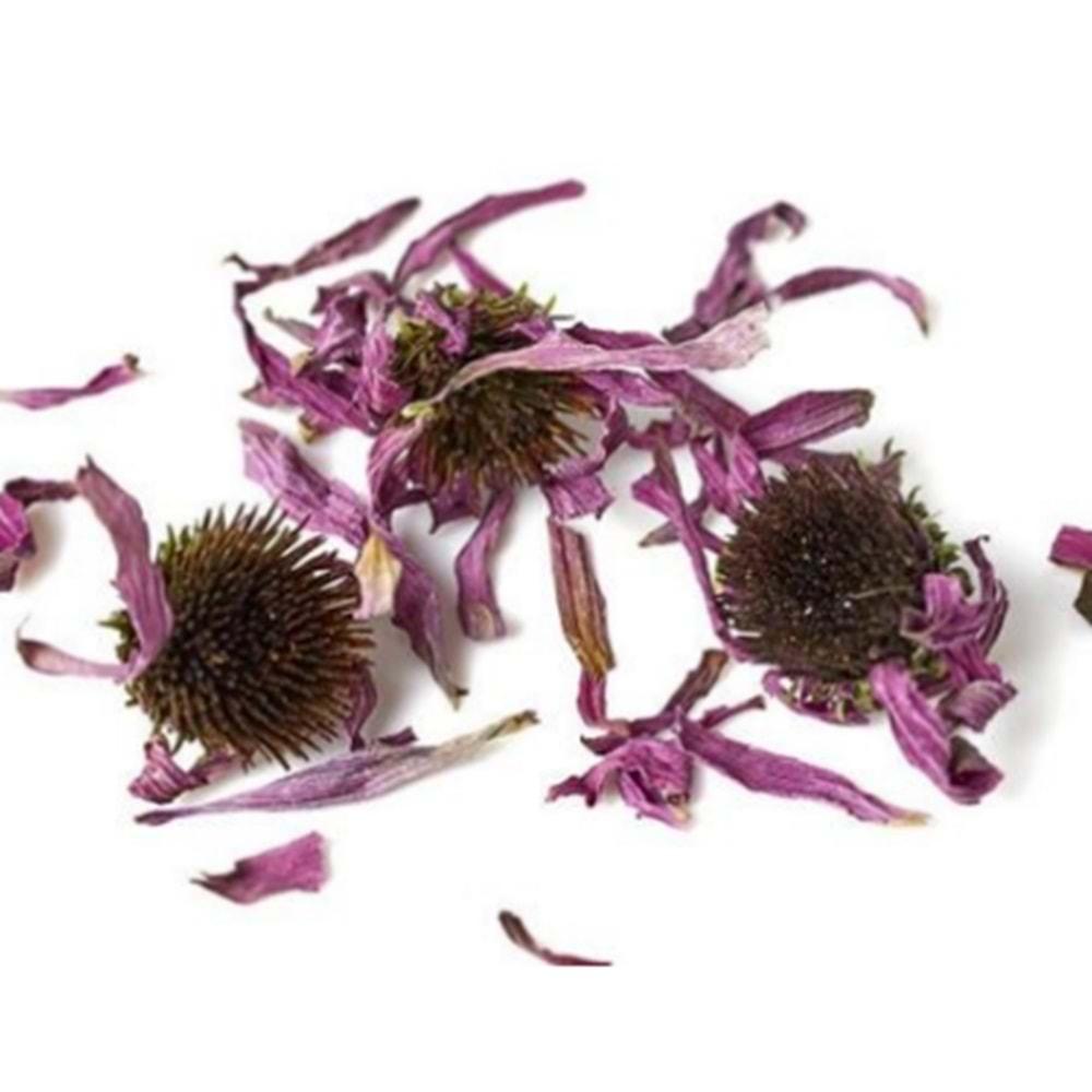 EKİNEZYA ÇİÇEĞİ 50 GR