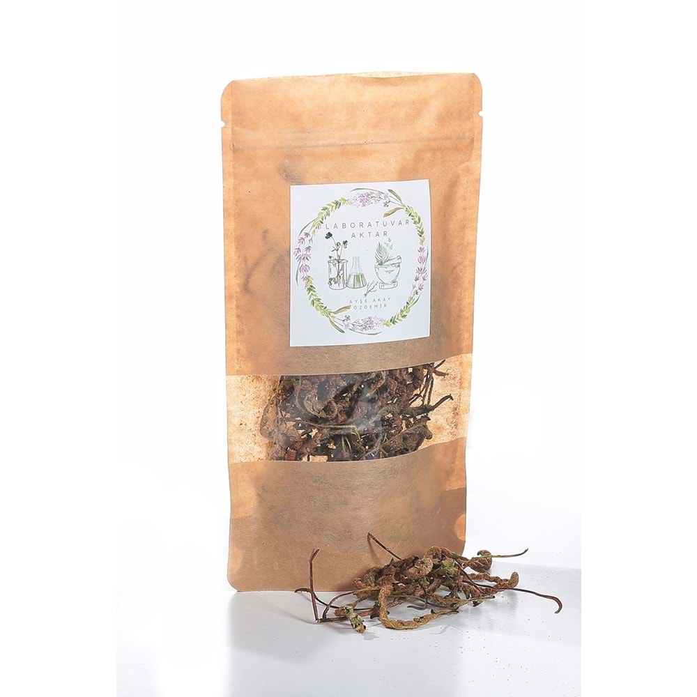 KAYA AKTIN OTU (DALAK OTU) 10 GR
