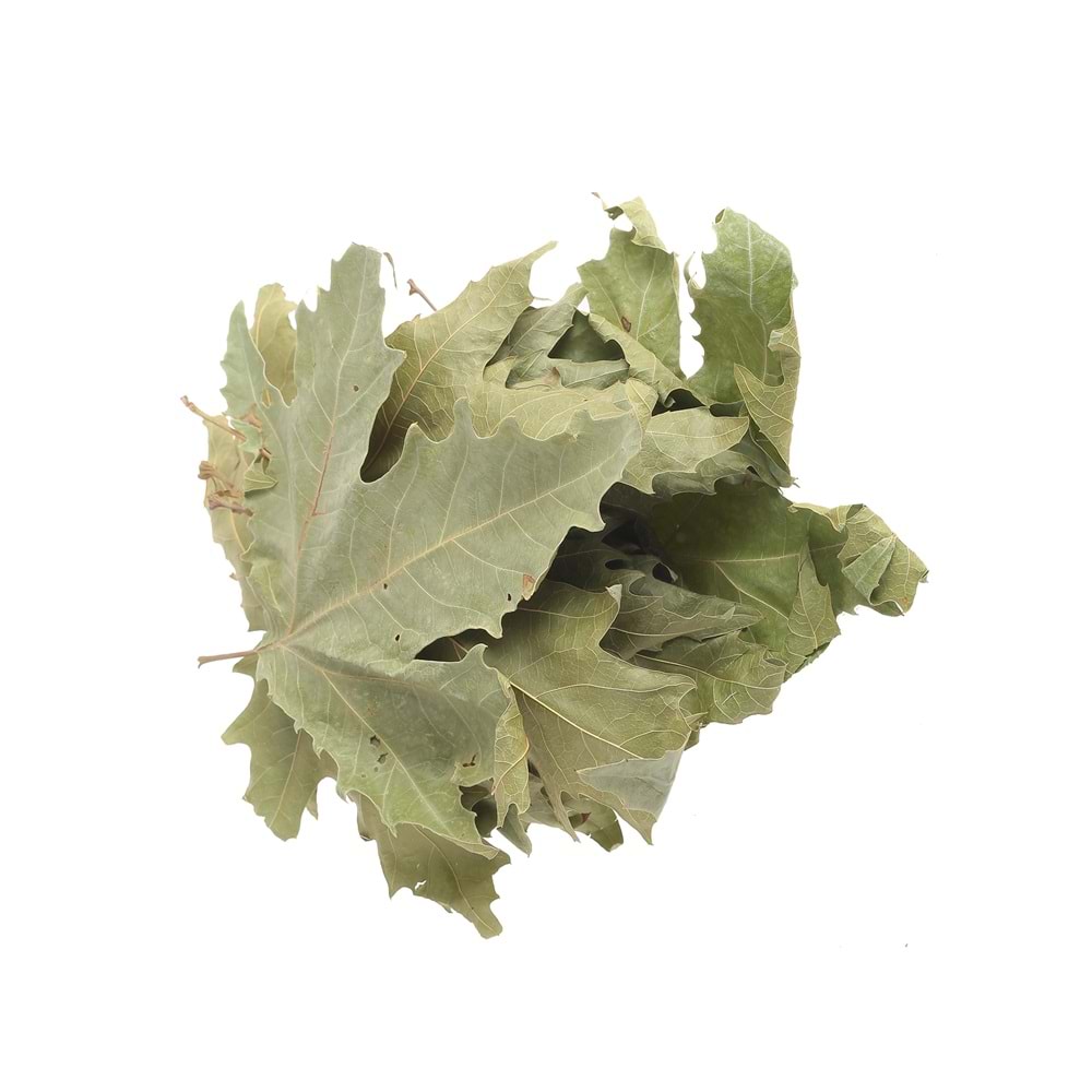 ÇINAR YAPRAĞI 100 GR