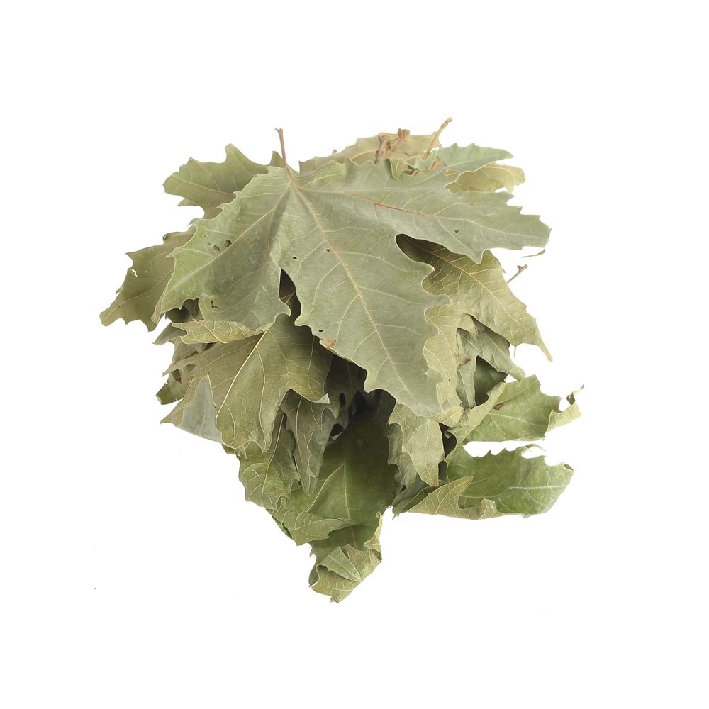 ÇINAR YAPRAĞI 100 GR