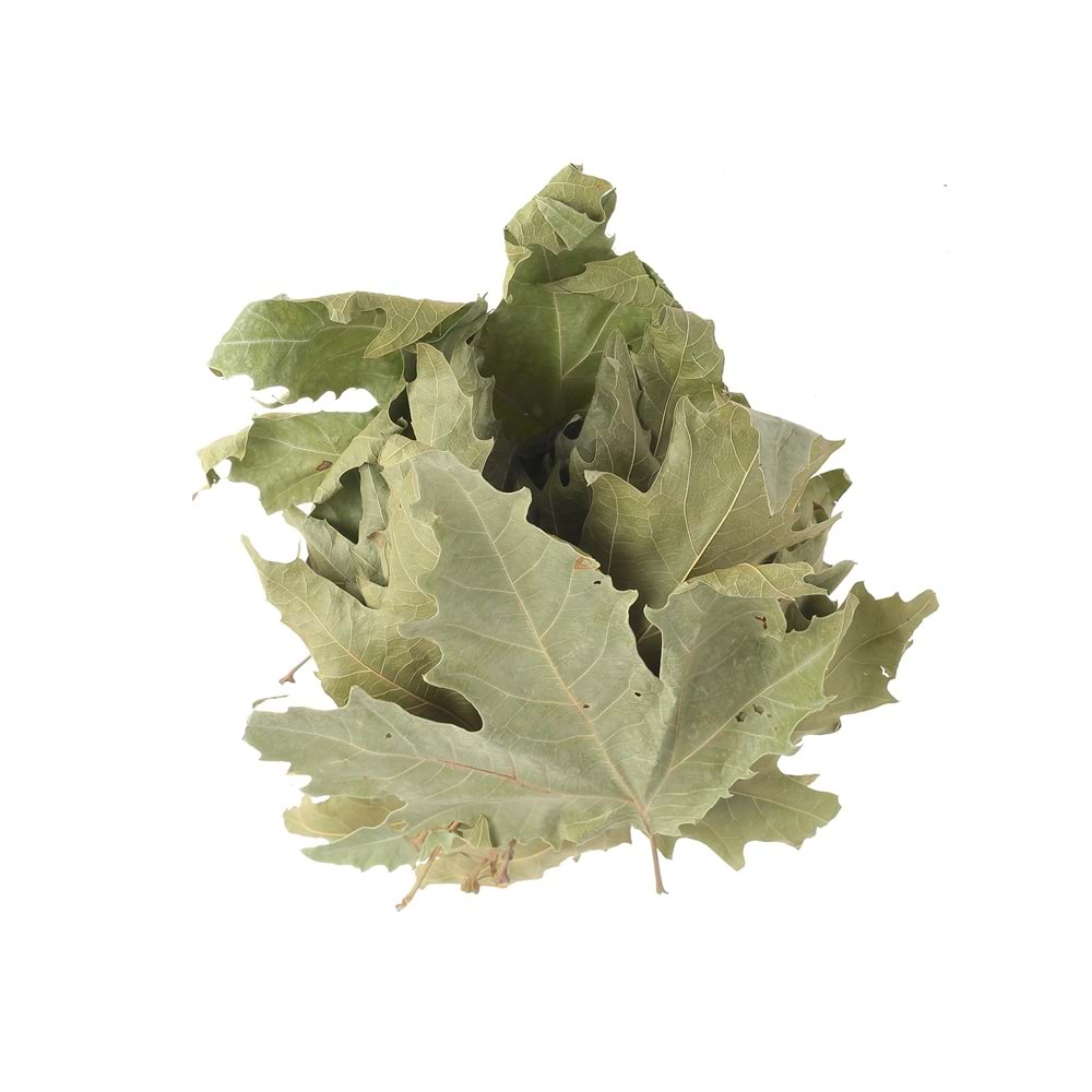 ÇINAR YAPRAĞI 100 GR