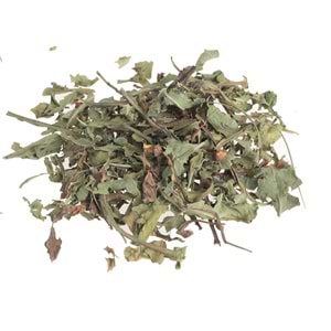 KARA HİNDİBA OTU (ACI GÜNEK ) 50 GR