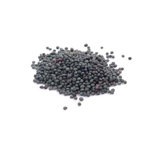 MENENGİÇ (KAVRULMAMIŞ) 100 GR