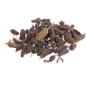 KARABAŞ OTU (FRANSIZ LAVANTASI) 50 GR