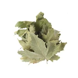 ÇINAR YAPRAĞI 100 GR