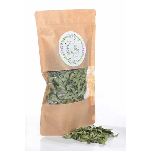 MERSİN YAPRAĞI 100 GR
