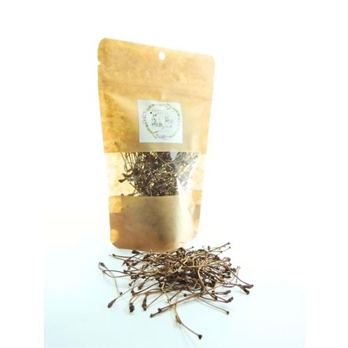 KİRAZ SAPI 25 GR