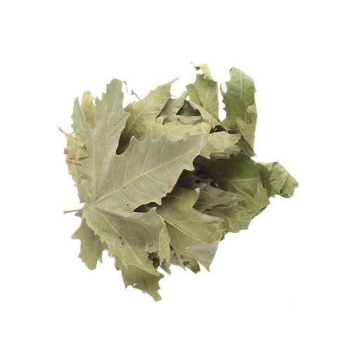 ÇINAR YAPRAĞI 100 GR