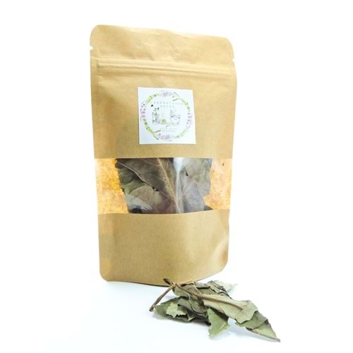 AVOKADO YAPRAĞI 25 GR