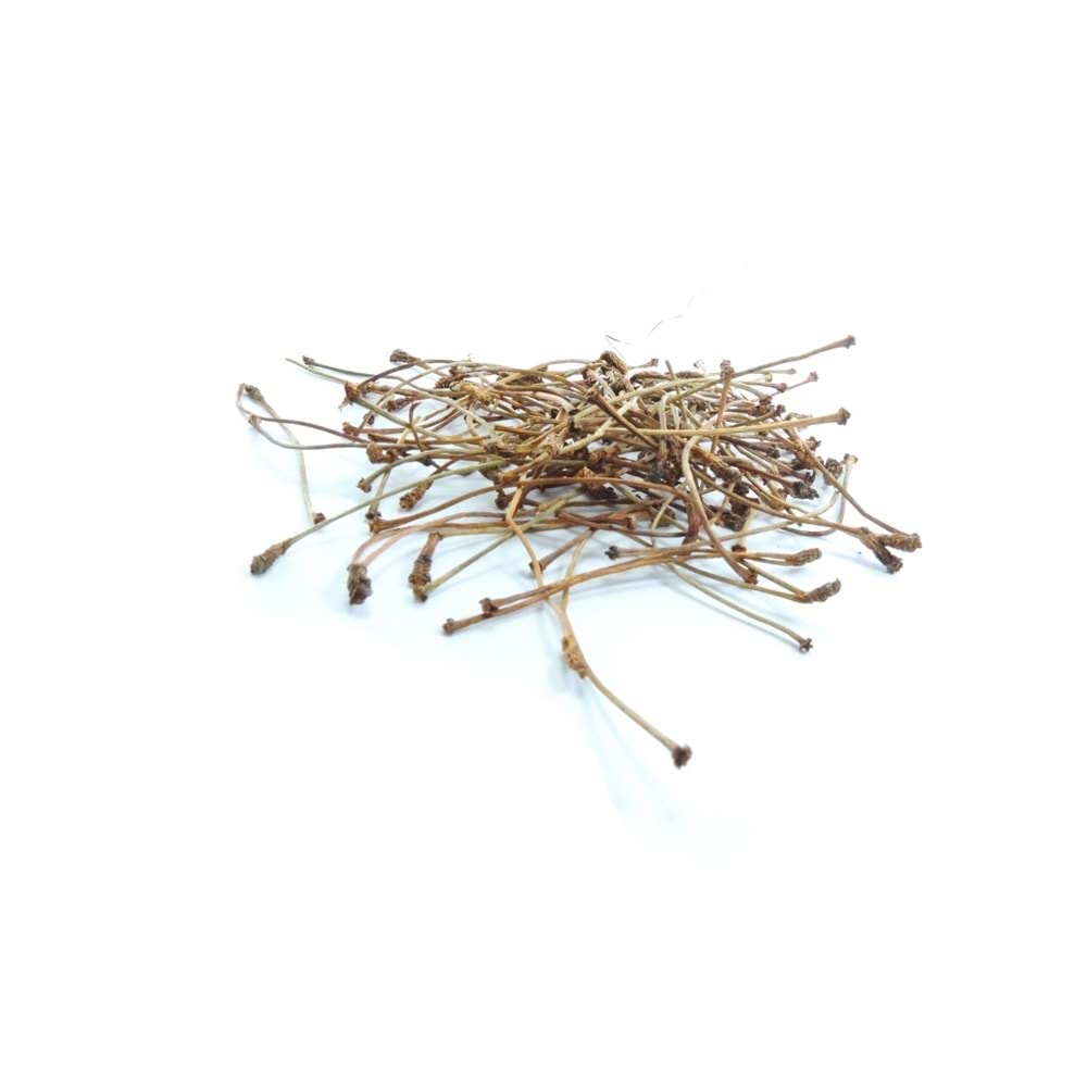KİRAZ SAPI 25 GR