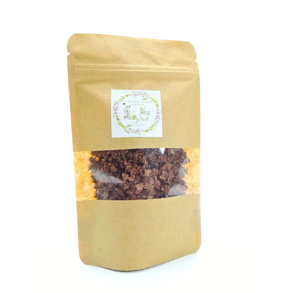LABADA TOHUMU 50 GR