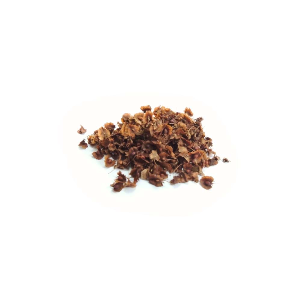 LABADA TOHUMU 50 GR
